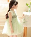 Waistband Tutu Dress Green