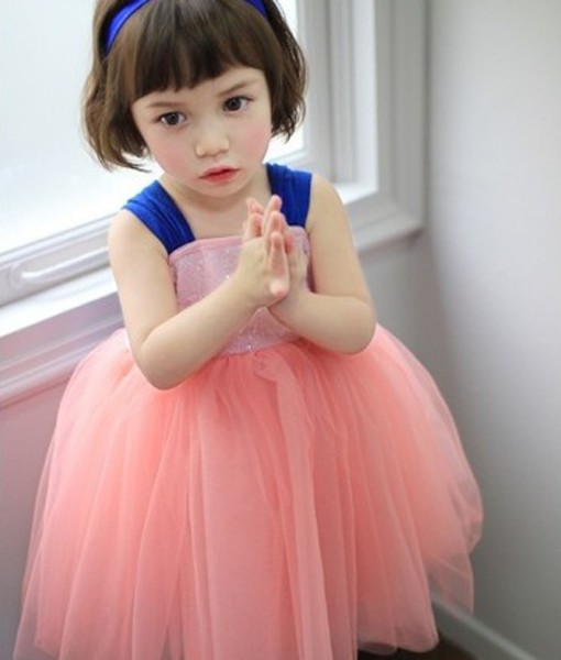 Two Tone Tutu Dress