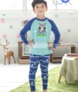 Raccoon Bicycle Blue Pajama