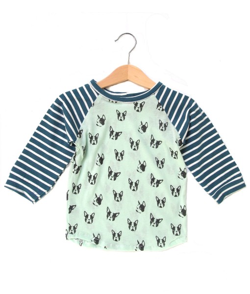 Raglan Tee - Green Puppy 1