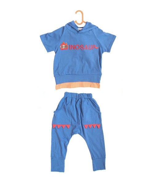 Blue Dinosaur Hoodie Top + Pant 1