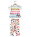 Stripe Butterfly Colorful Set