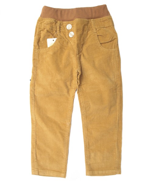 Star Corduroy Beige Pant