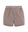 Brown Stripe Short Pant