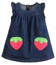 Strawberry Denim Dress