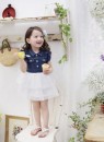 Denim Frill Tutu Dress