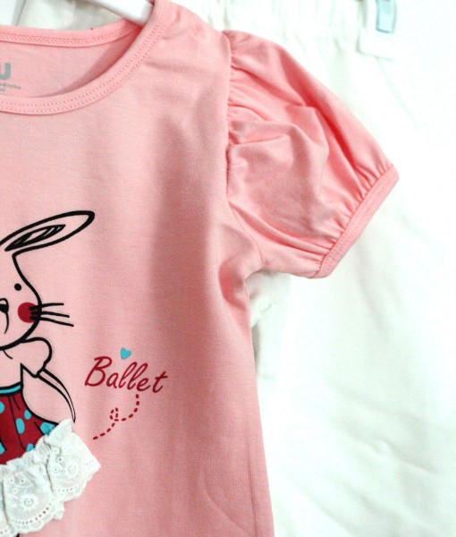 Pink Bunny Set