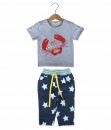 Crab Grey Tee + Star Pant