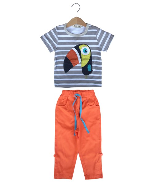 Toucan Grey Tee + Orange Pant 1
