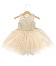 Sparkle Tutu Dress