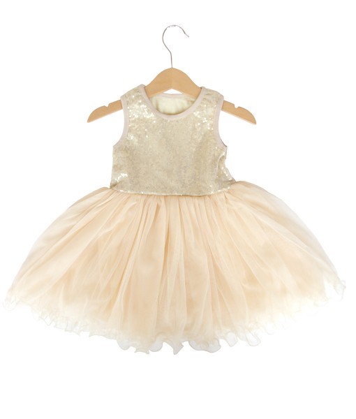 Sparkle Tutu Dress  1