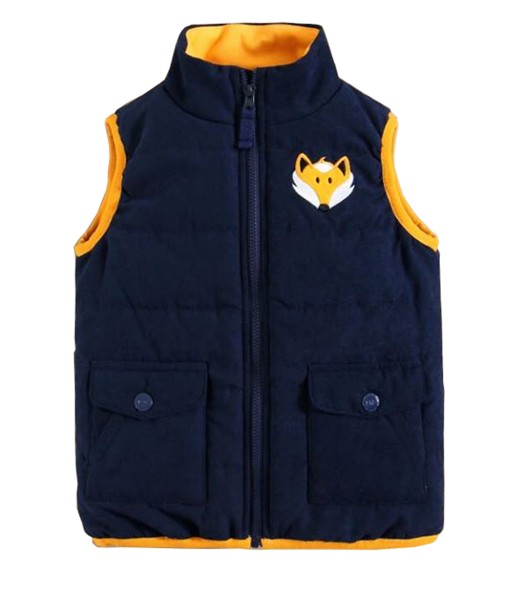 Fox Blue Vest 1
