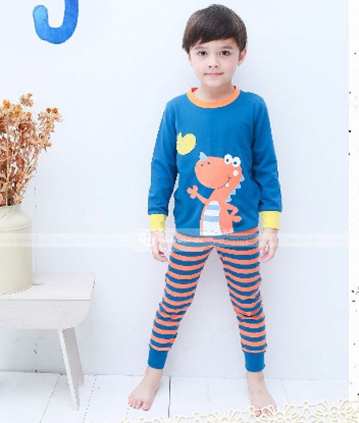 Dino Bird Pajama