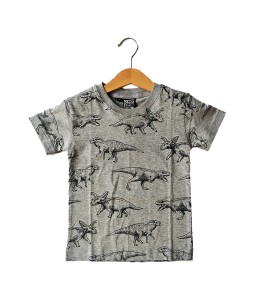 0101-1511C - MEET THE KIDS DINO MISTY TEE