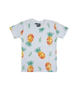 0101-1511G - MEET THE KIDS PINEAPPLE