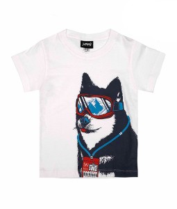 Jumma - Arctic huskey